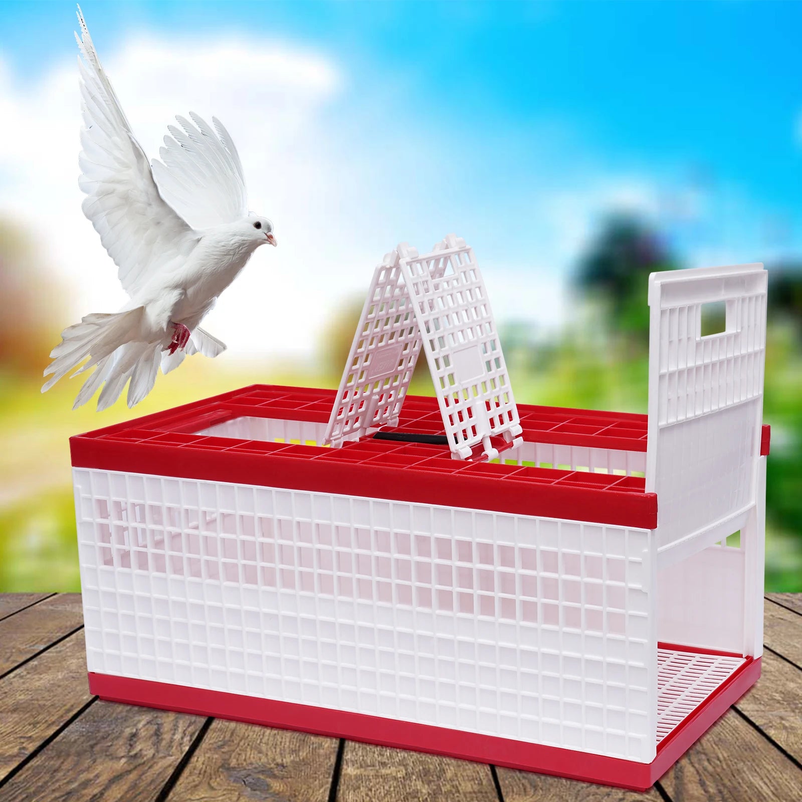 3-Door Pigeon Cage with Handle