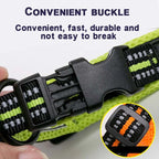 Dog Walking Collar with Buckle