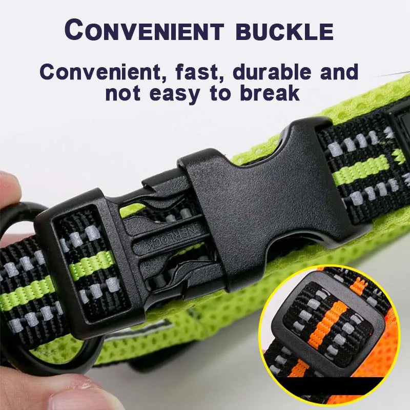 Dog Walking Collar with Buckle