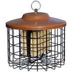 Squirrel-Proof Bird Feeder