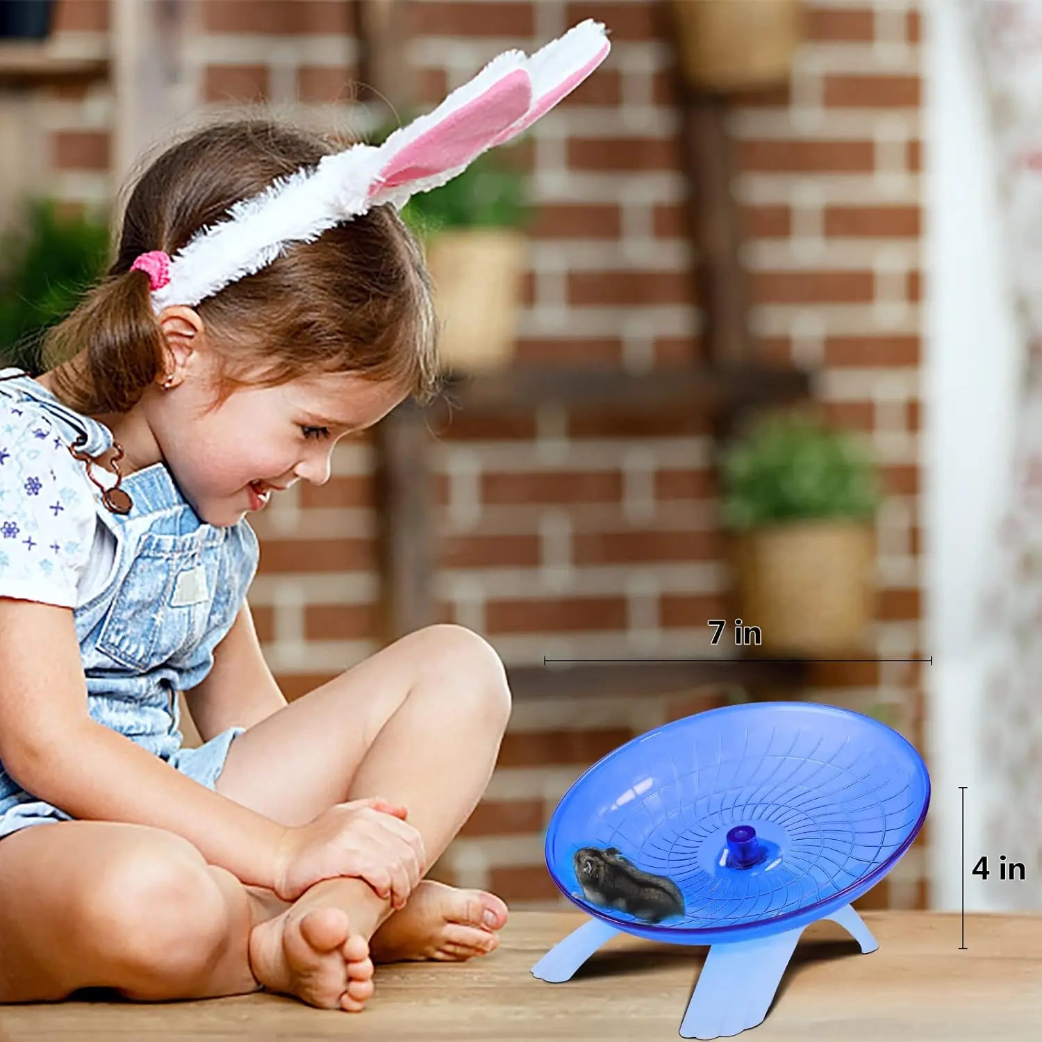 Silent Hamster Exercise Wheel