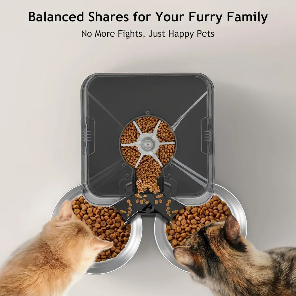 Automatic Cat Feeder for Two Cats