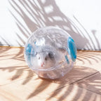 Plastic Outdoor Sport Ball