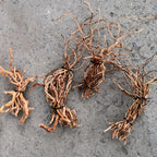 Aquarium Micro Landscape Driftwood