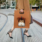 Creative Breathable Collapsible Cat Bed
