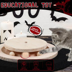 Scratching Posts for Indoor Cats