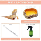 PC Terrarium Set, Reptile, Tarantula, etc.