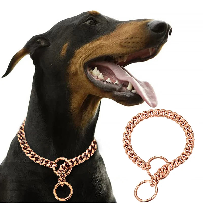 Stainless Large Collar Chain
