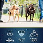 Adjustable Harness for S/M/L Dogs