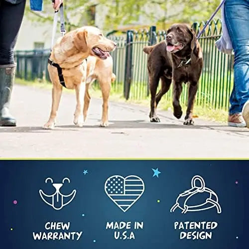 Adjustable Harness for S/M/L Dogs