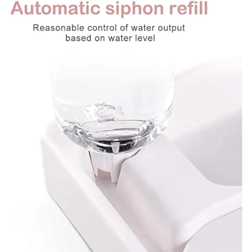 Automatic Pet Feeder/Water Dispenser