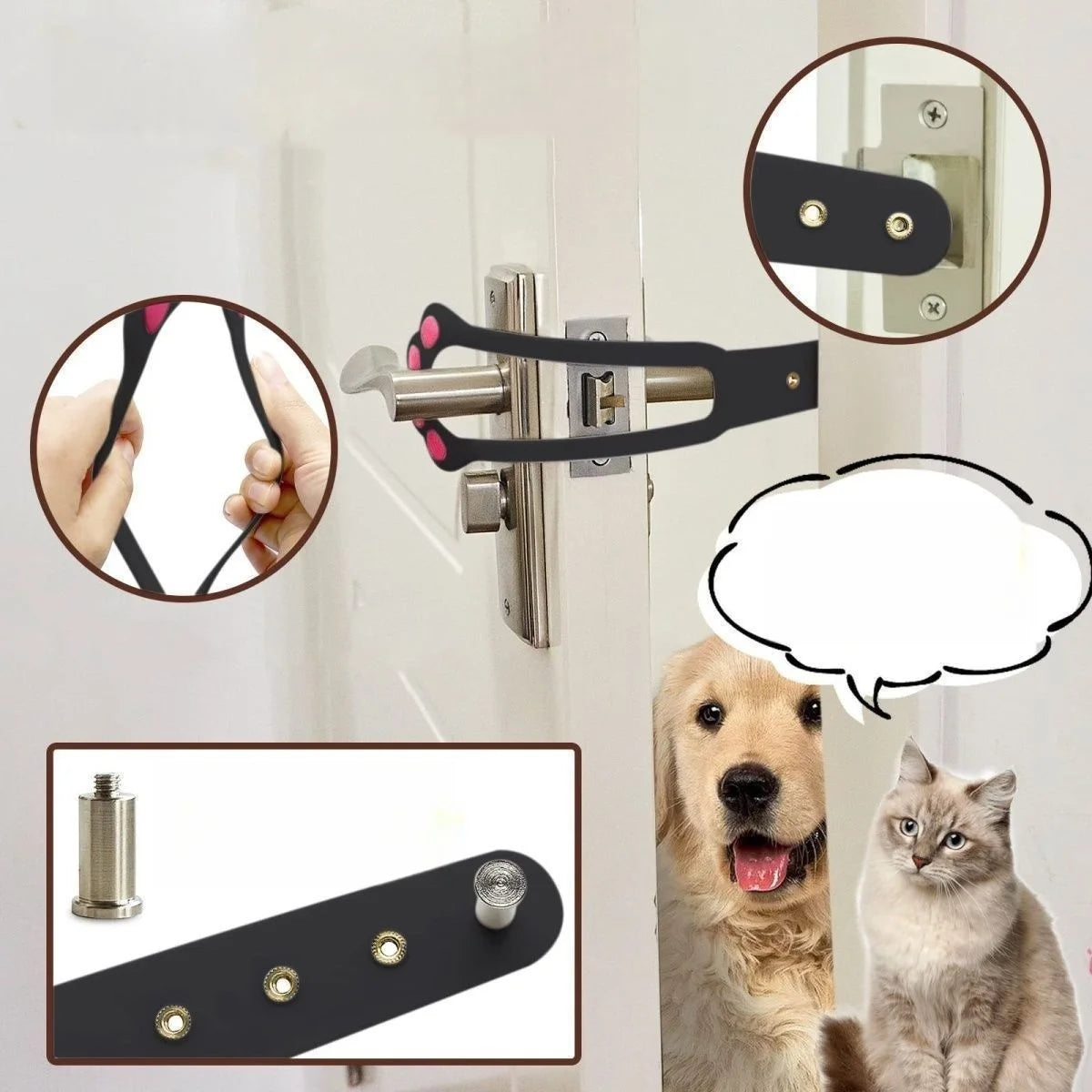 Pet entry and exit door