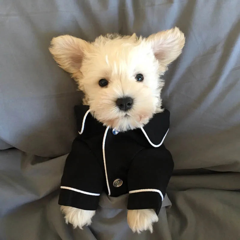 Cat Costume Sphynx Sweatshirt Suit