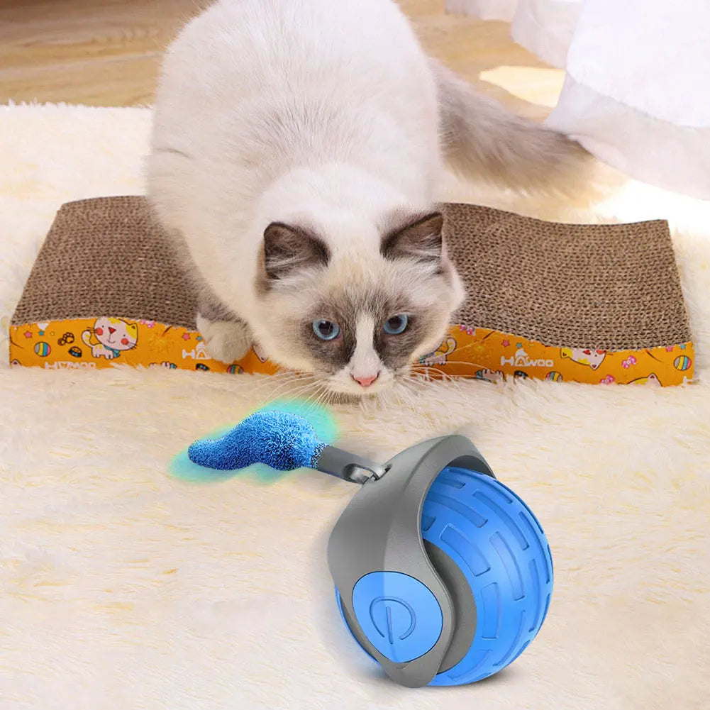 Cat Interactive Ball Toys