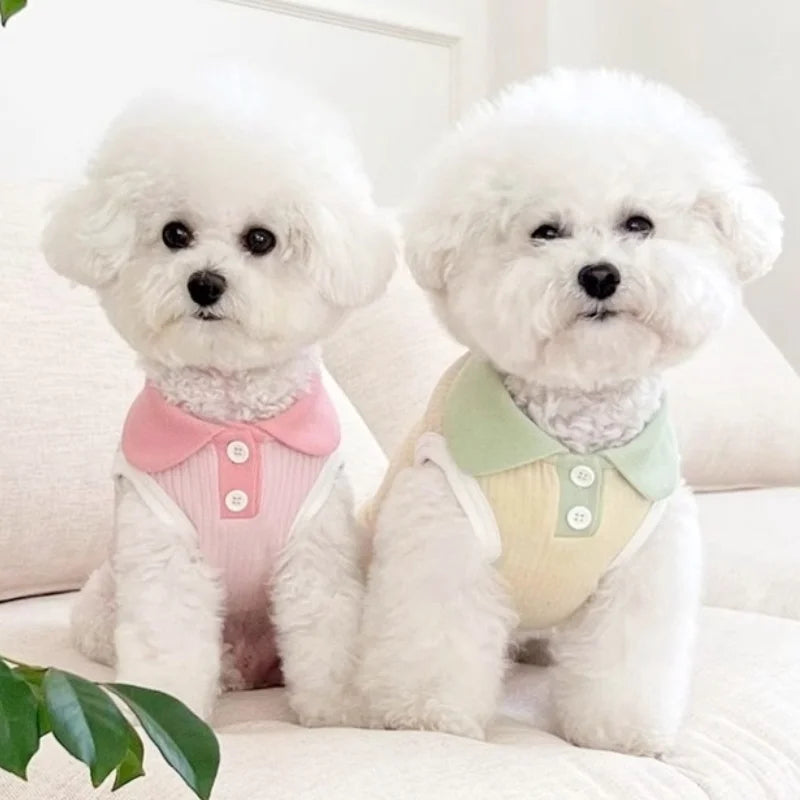 Summer Pet Dog Polo Shirt