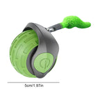 Cat Interactive Ball Toys