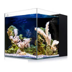 8-Gal Saltwater Aquarium