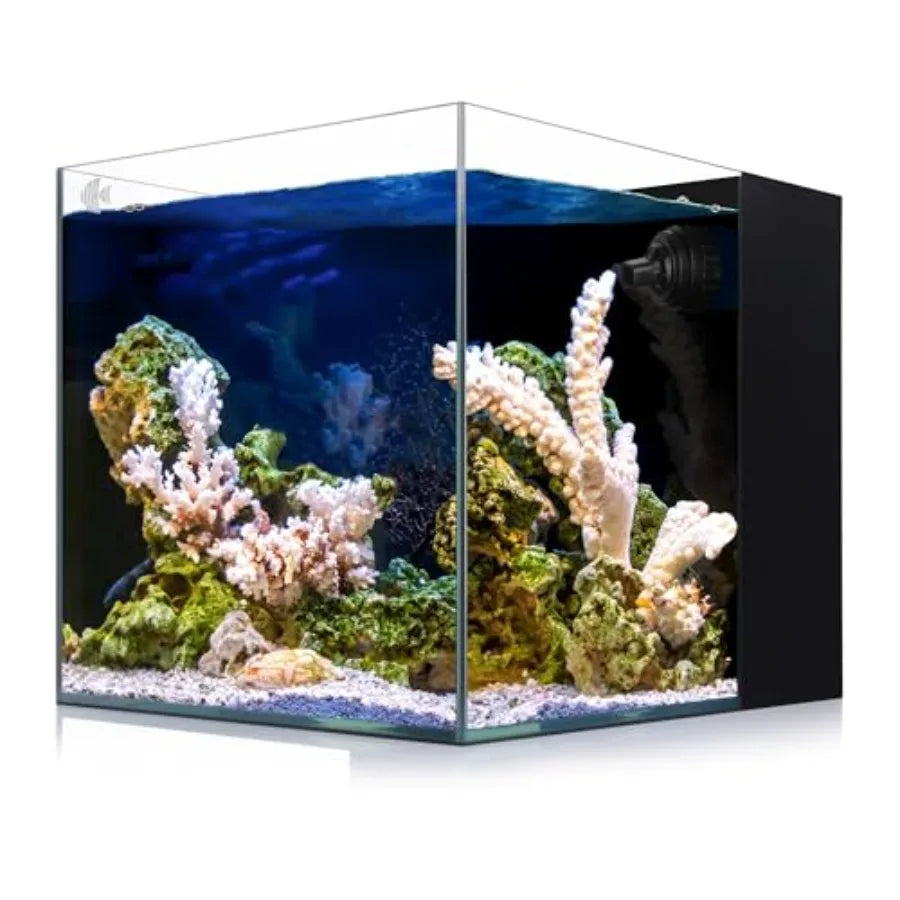 8-Gal Saltwater Aquarium
