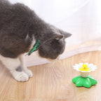 Automatic Rotating Cat Toy