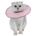 Pet Cat Protective Collar