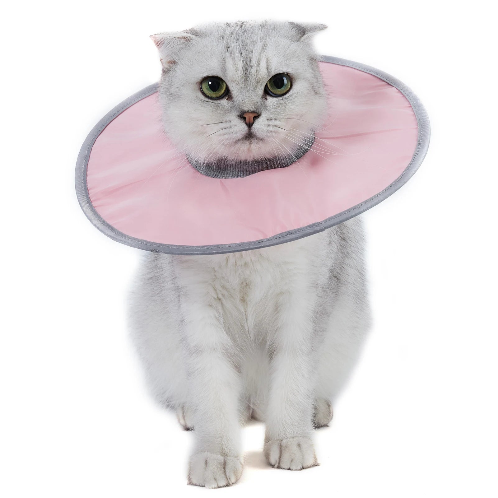 Pet Cat Protective Collar