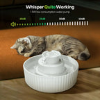Cat Water Fountain
