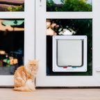 Puppy Kitten Safety In/out Door