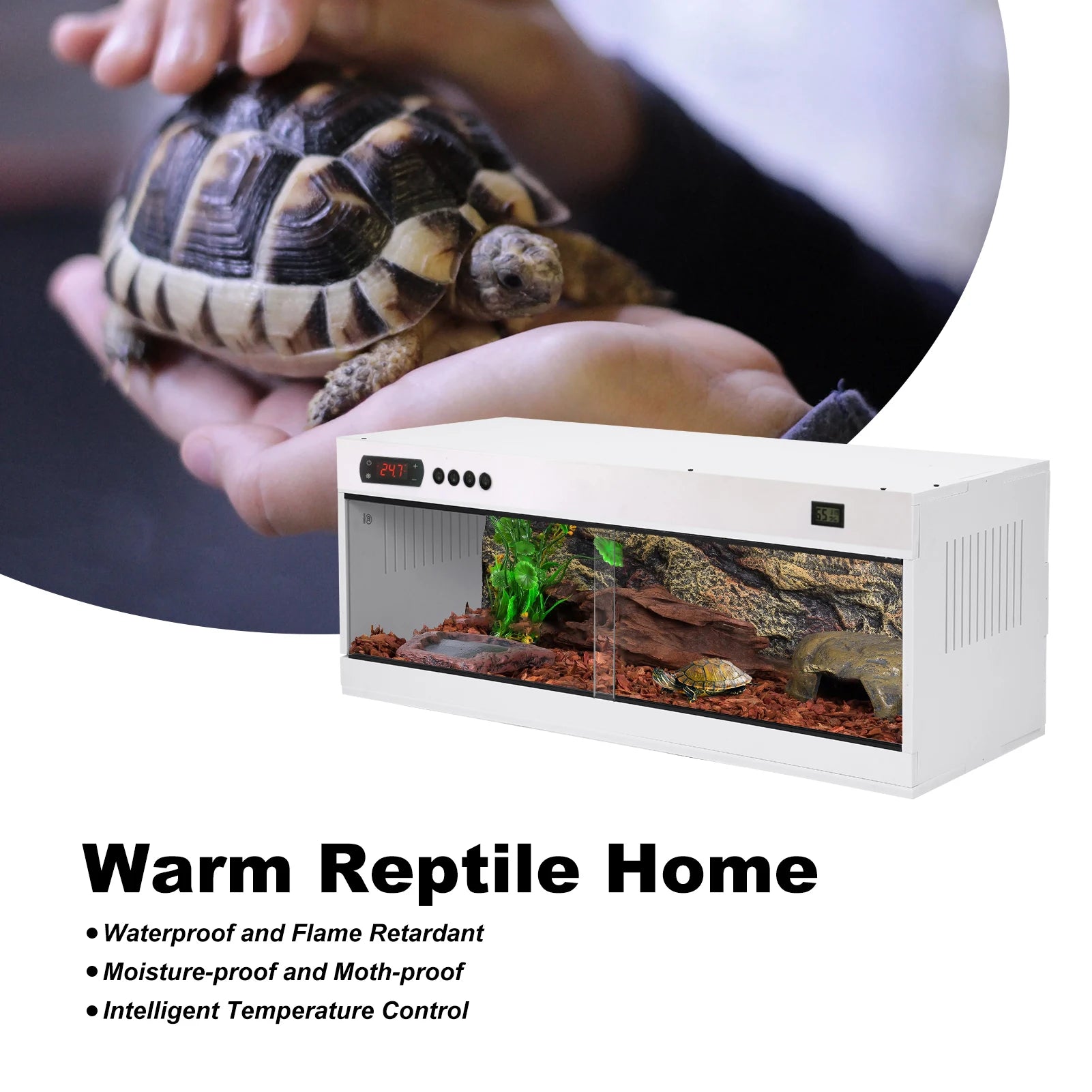 Reptile Enclosure