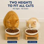 Cat Bowl Stand with Ceramic Dishes