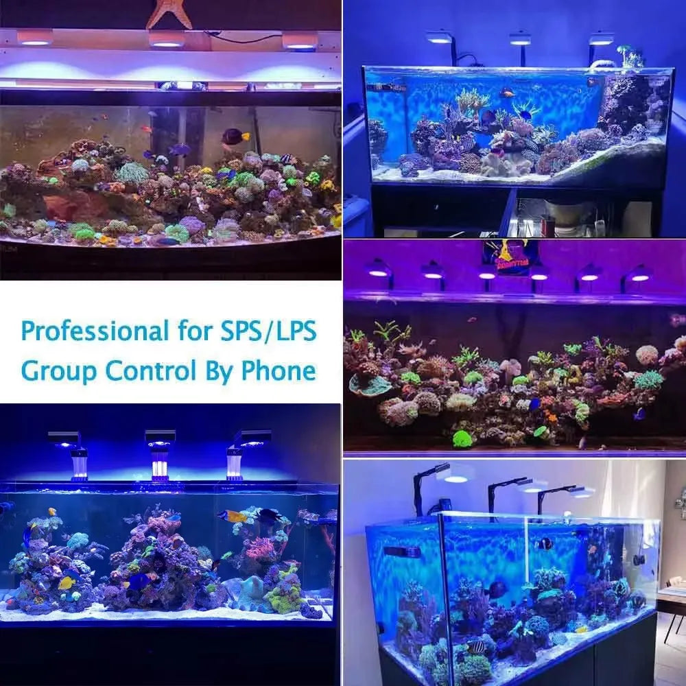 WiFi Reef Aquarium Light 100W