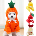 Cute Fruit Dog Clothes