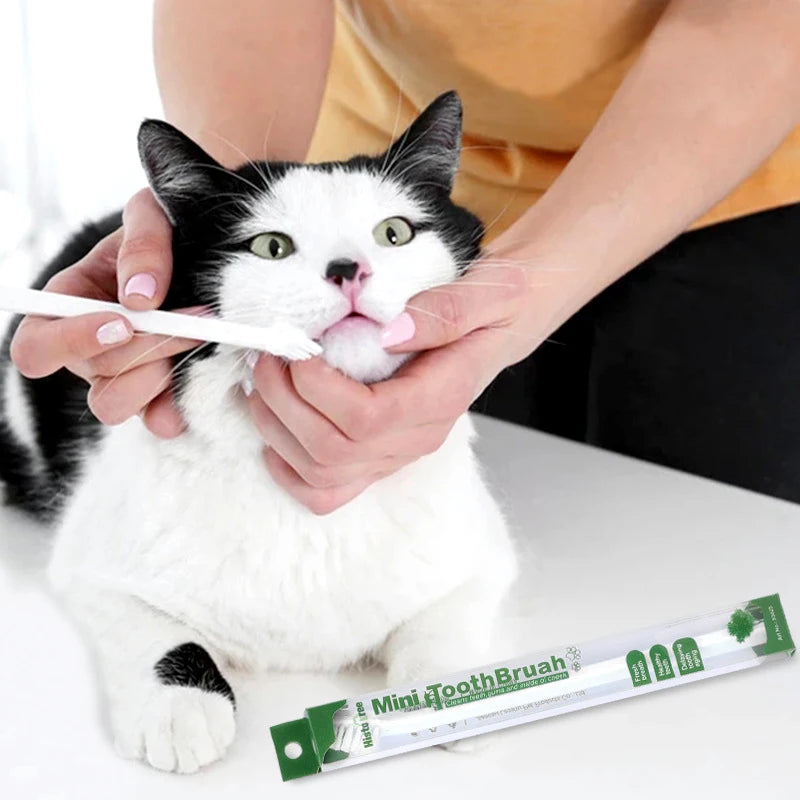 Vet Recommended Dog/Cat Toothbrush