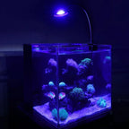 30 Watts Aquarium LED Reef Light