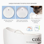 Cat Drinking Fountain
