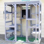 Cat Enclosure