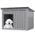 Dog House