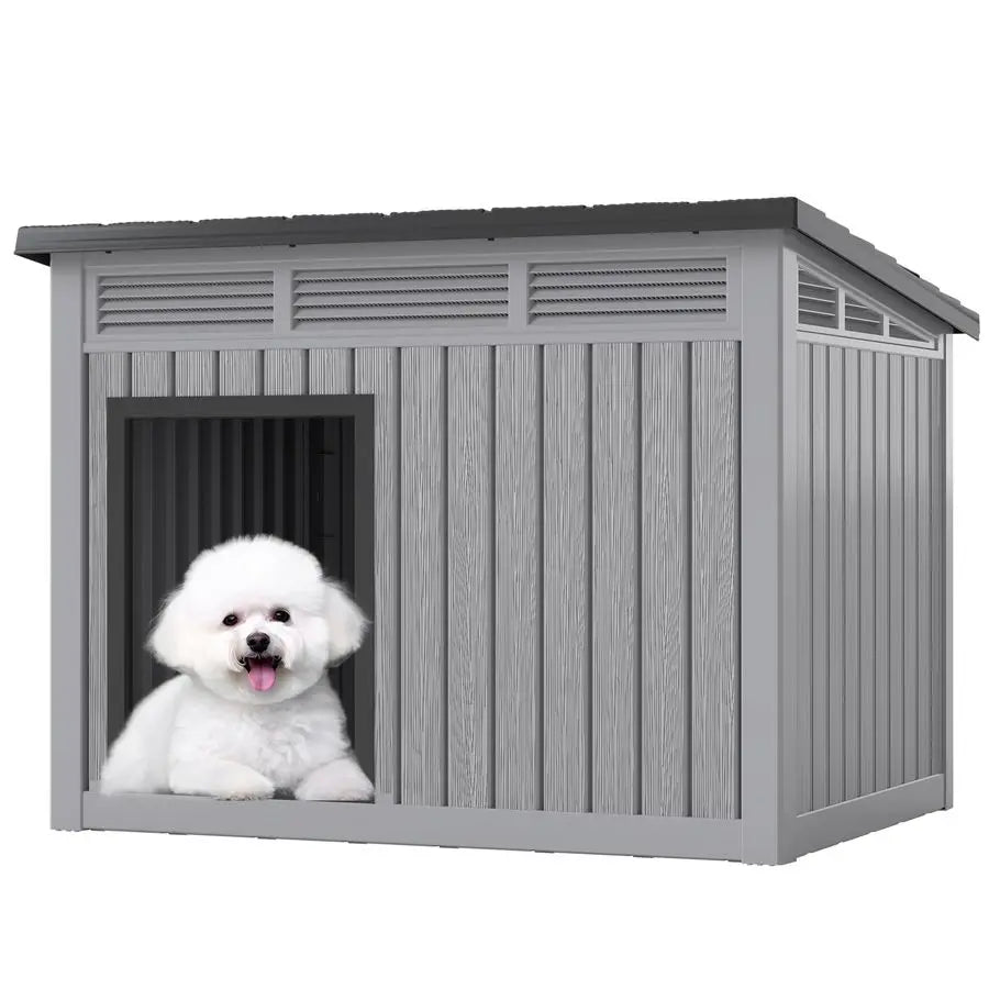 Dog House