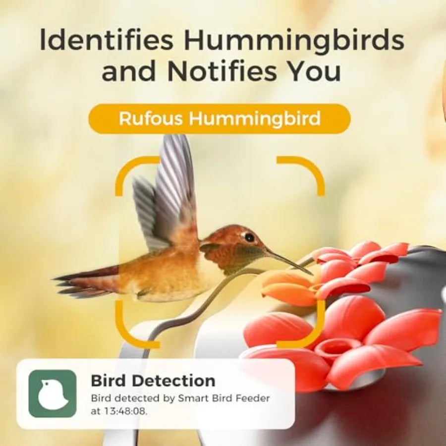 Glass Smart Hummingbird Feeder
