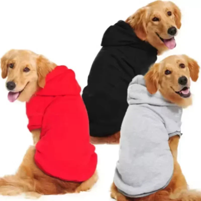 Winter Dog Clothes