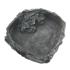 Reptile Amphibians Food/Water Dish