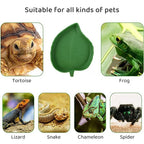 Leaf Shape Reptile Feeder