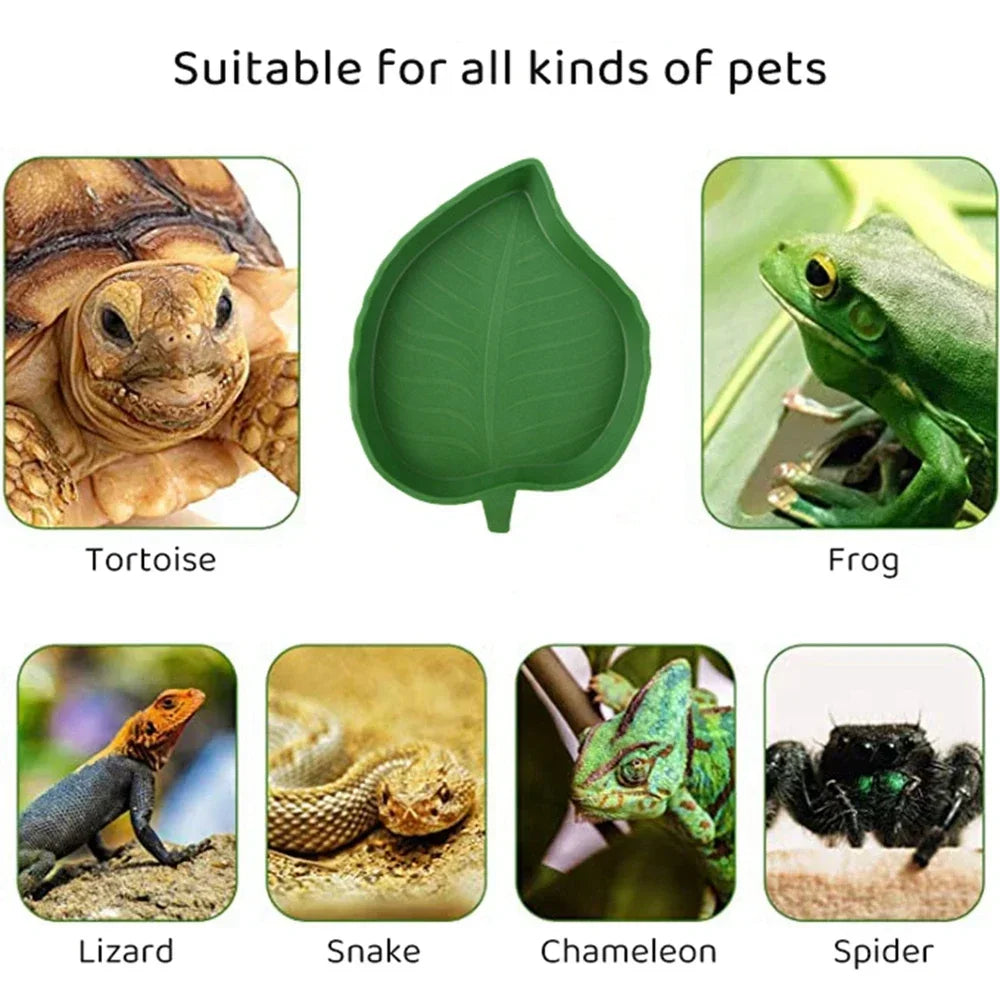 Leaf Shape Reptile Feeder