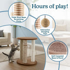 Scratching Post 3 Posts
