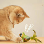 Birds Toy for Cat Chasing