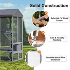Large Cat Enclosure