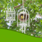2 Pack Coconut Bird Nest