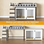 Loft-Style Dog Crate