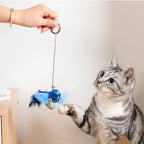 Birds Toy for Cat Chasing