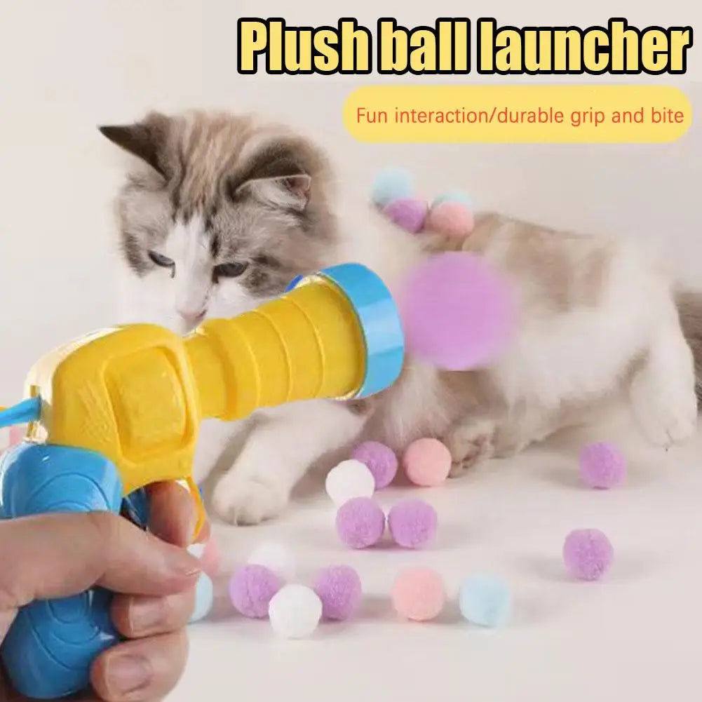 Launch Training For Kittens