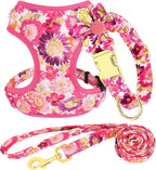 Cute Harness & Leash Set
